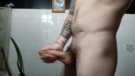 manuelmp87  05-03-2022